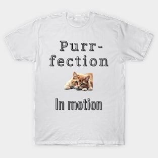 Purr-fection in motion T-Shirt